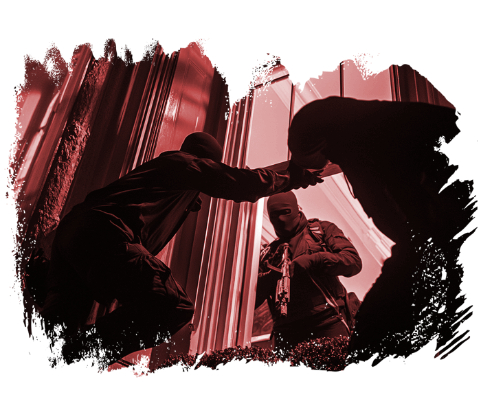 house breaking is at an all time high